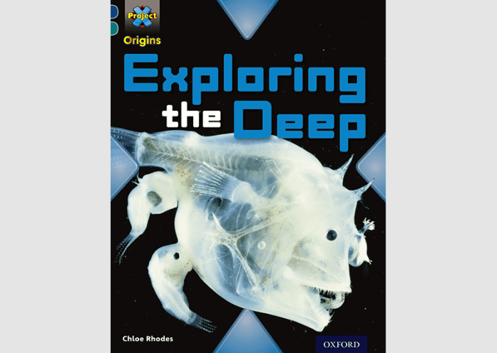 Exploring deep book