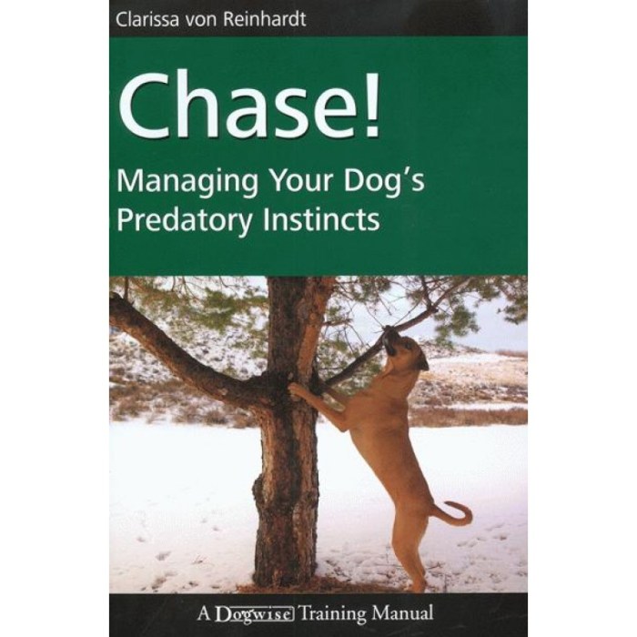 Loopyloulaura fragile kindle