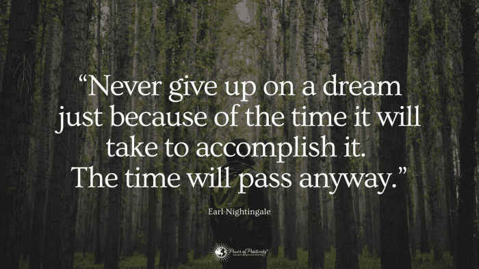 Quotes jeunesse dreams daily chase catch